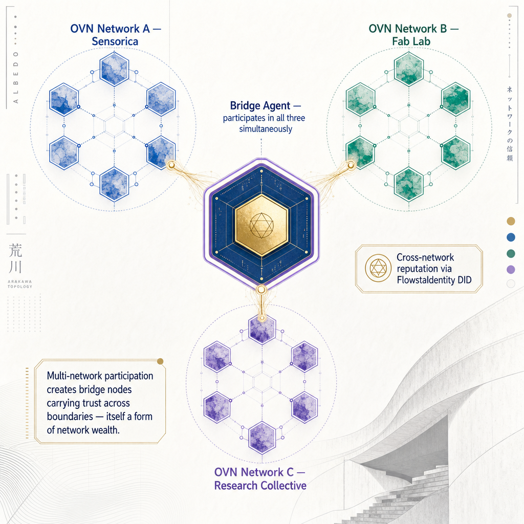 Agent as network bridge node — single agent participating in multiple OVN networks simultaneously