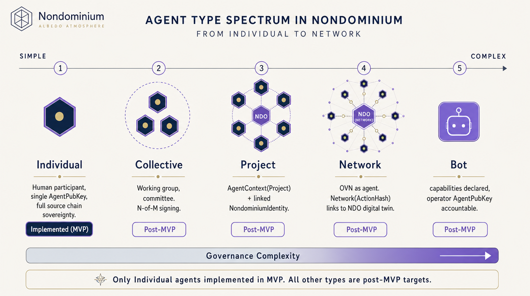 Agent type spectrum — Individual through Collective, Project, Network, to Bot with increasing governance complexity